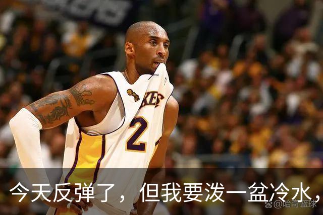 今天反弹了，但我要泼一盆冷水，真正决定方向的只有一个